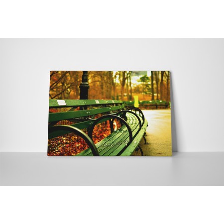 Őszi délután a parkban