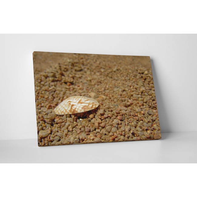 Kagyló és kavicsok