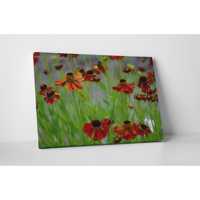 Virágok iránti szenvedély