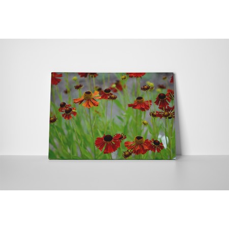 Virágok iránti szenvedély