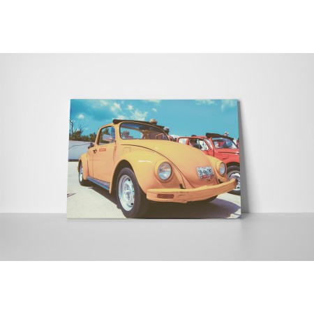 Kicsi narancs színű bogár