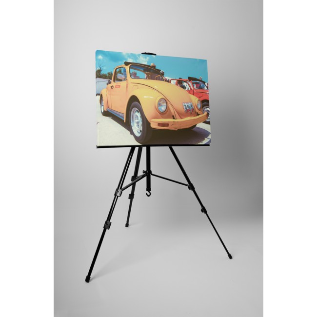 Kicsi narancs színű bogár