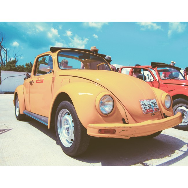 Kicsi narancs színű bogár