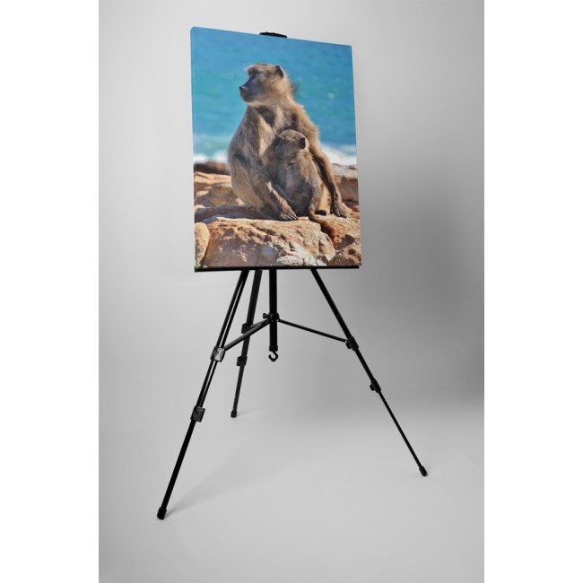 Majom anyuka és kicsinye