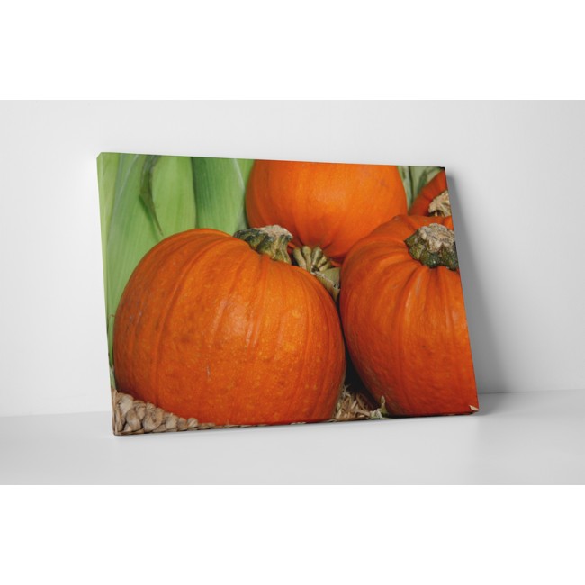 Hatalmas sütőtök család