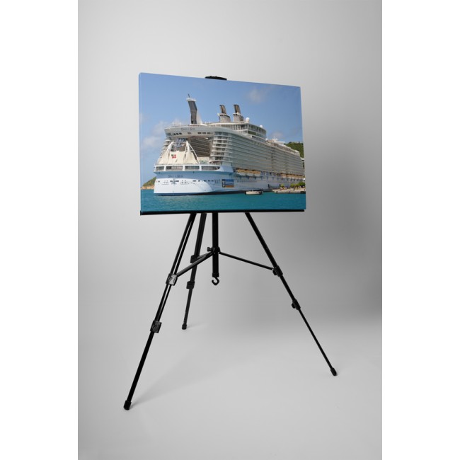 Oasis of the Seas hajó