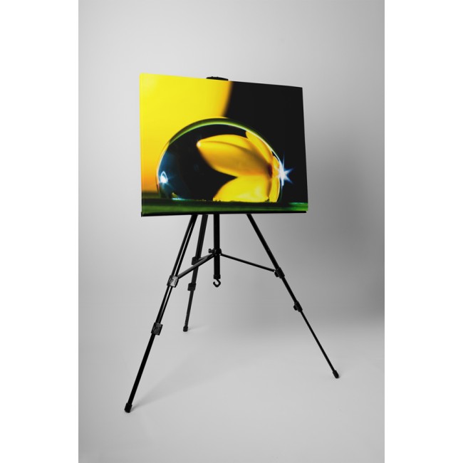 Virág tükröződése