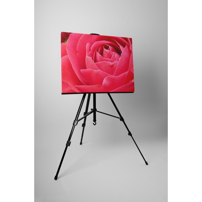 Illatos rózsa közelről