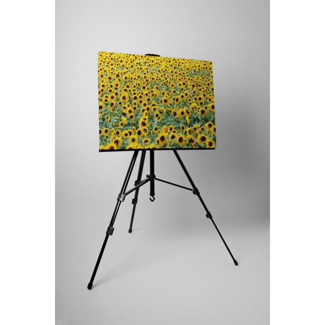 Mindenhol csak napraforgó