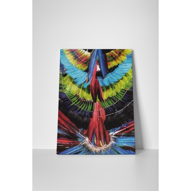 Díszes tollak minden színben