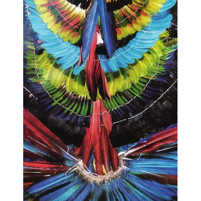 Díszes tollak minden színben