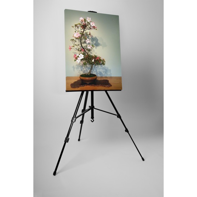 Virágzó bonsai fácska