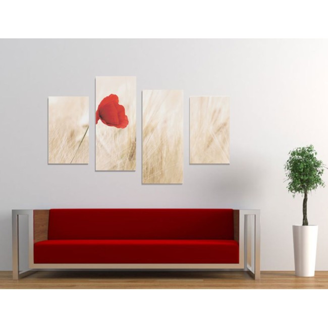 Többrészes vászonkép - Árva pipacs