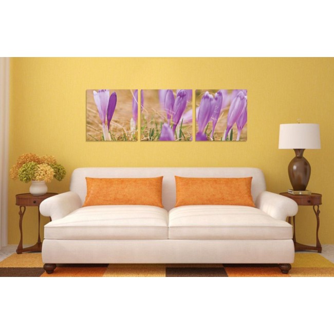 Többrészes vászonkép - Krókusz virágok