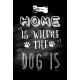 Home and dog