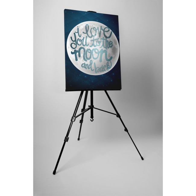 To the moon and back