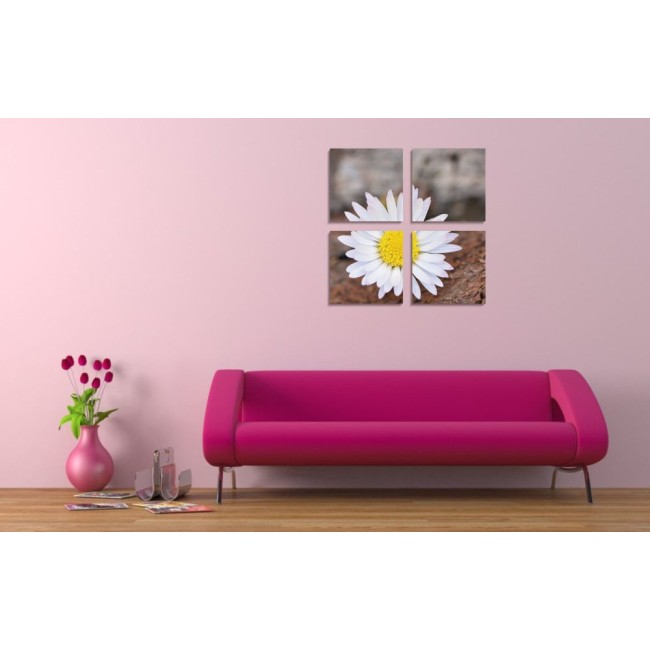 Többrészes vászonkép - Kamilla virág