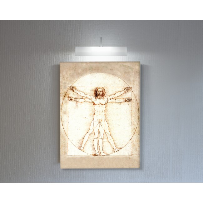 Vitruvián ember - 50x70 - Vászonkép