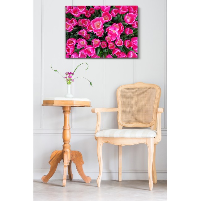 Rózsaszín tulipánok