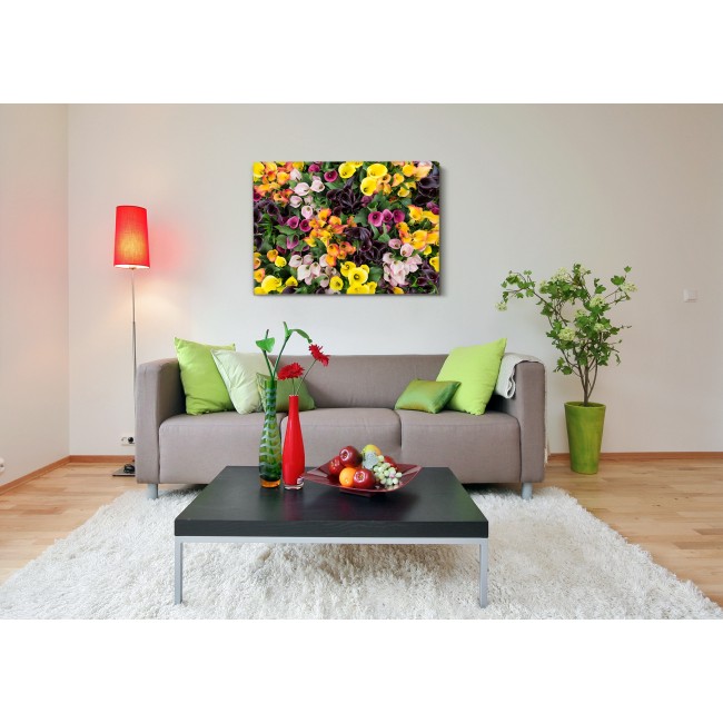 Csodaszép színes virágok