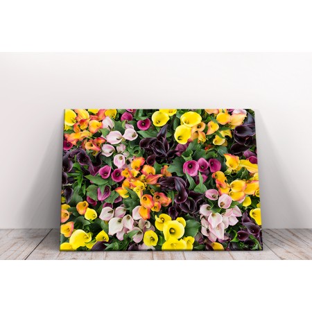 Csodaszép színes virágok