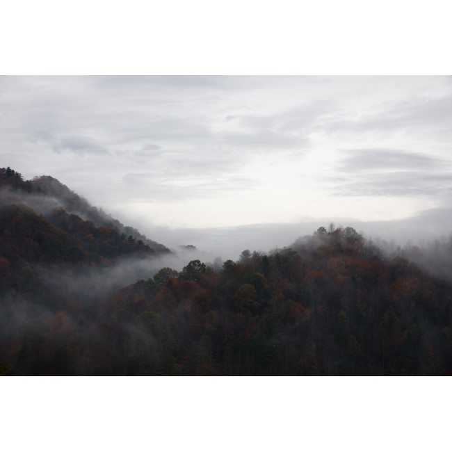 Hajnali erdő - 75x50 - Vászonkép