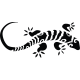 Gekko gyík - Falmatrica / Faltetoválás