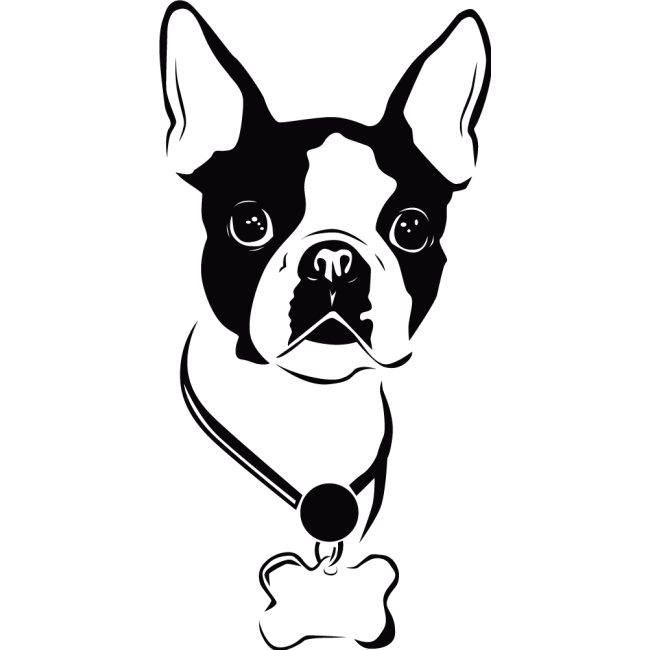 Kölyök kutya - Falmatrica / Faltetoválás