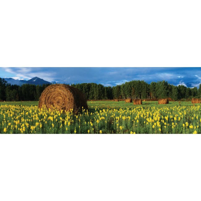 Mező - Panoráma vászonkép