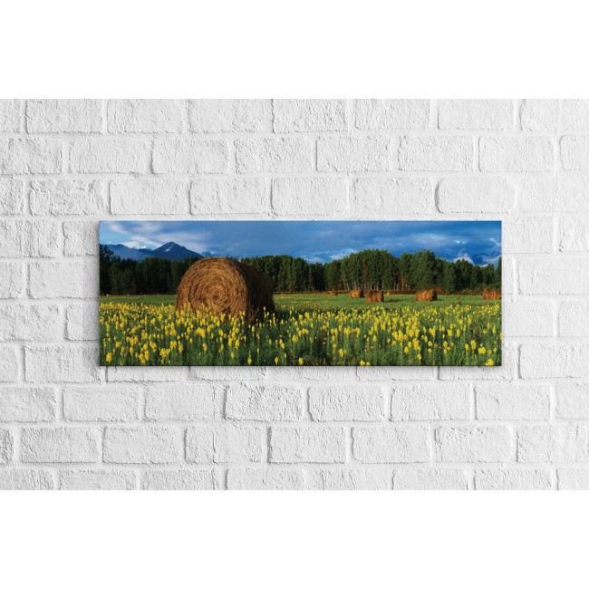 Mező - Panoráma vászonkép
