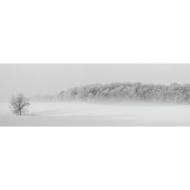 Téli erdő - Panoráma vászonkép