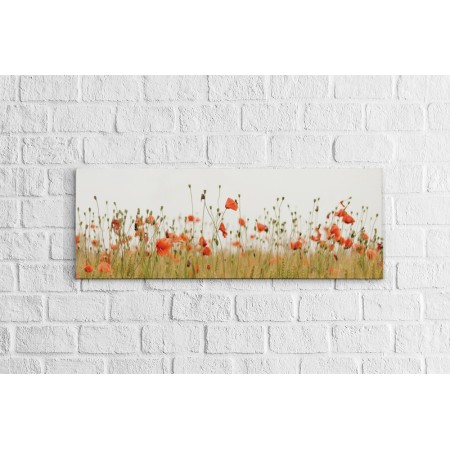 Pipacsok - Panoráma vászonkép