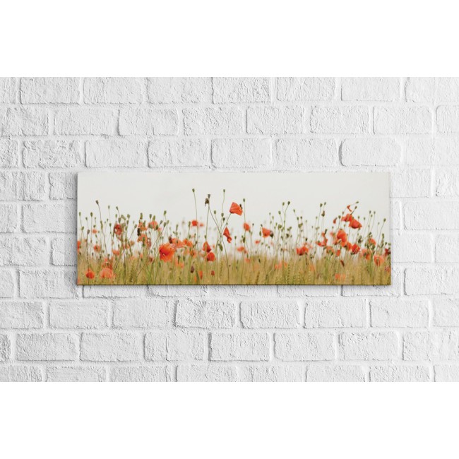 Pipacsok - Panoráma vászonkép