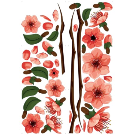 Szirom hullató cseresznyefa