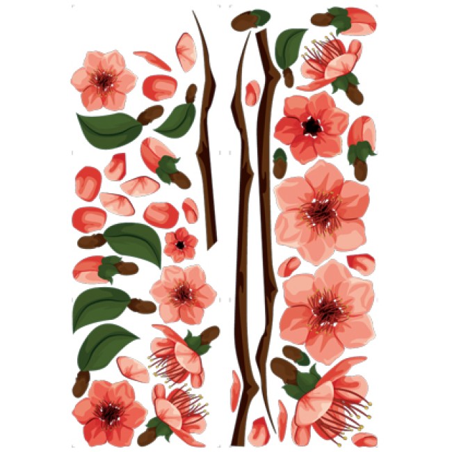 Szirom hullató cseresznyefa