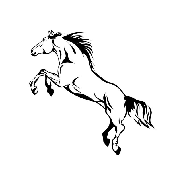 Csődör - PVC fólia matrica