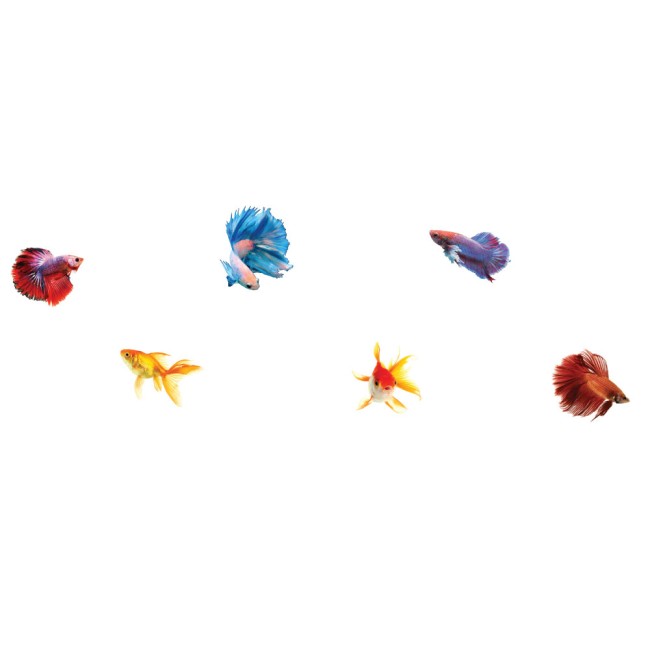 Különleges halak - Színes Matrica