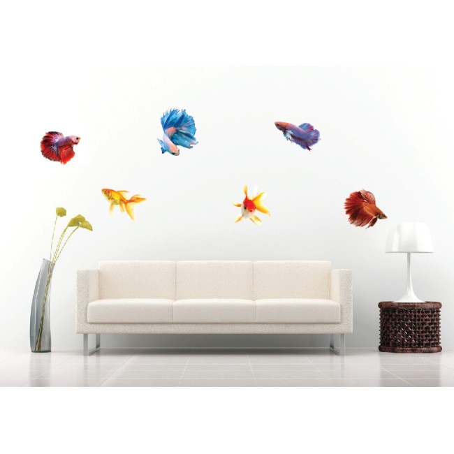 Különleges halak - Színes Matrica