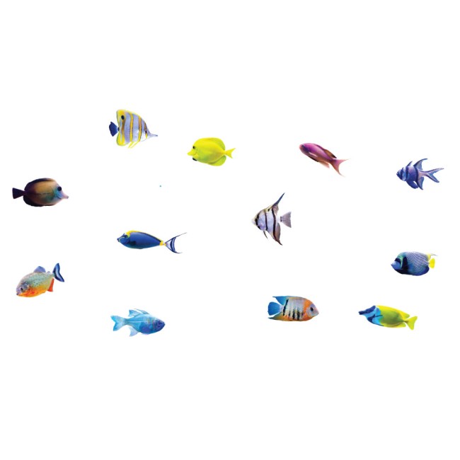 Aranyos halak - Színes Matrica