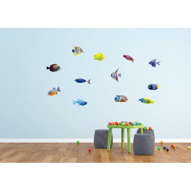 Aranyos halak - Színes Matrica