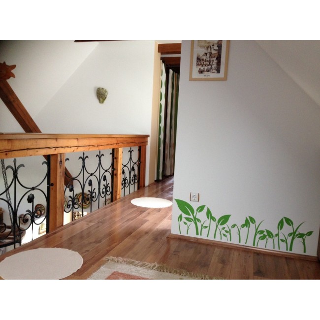 Fűszálak közelről - Falmatrica / Faltetoválás -