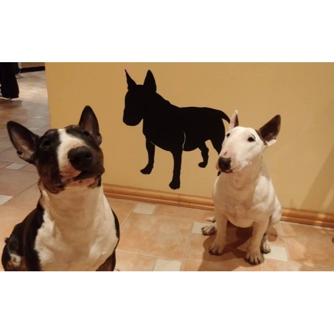 Az ember legjobb barátja - Falmatrica / Faltetoválás -