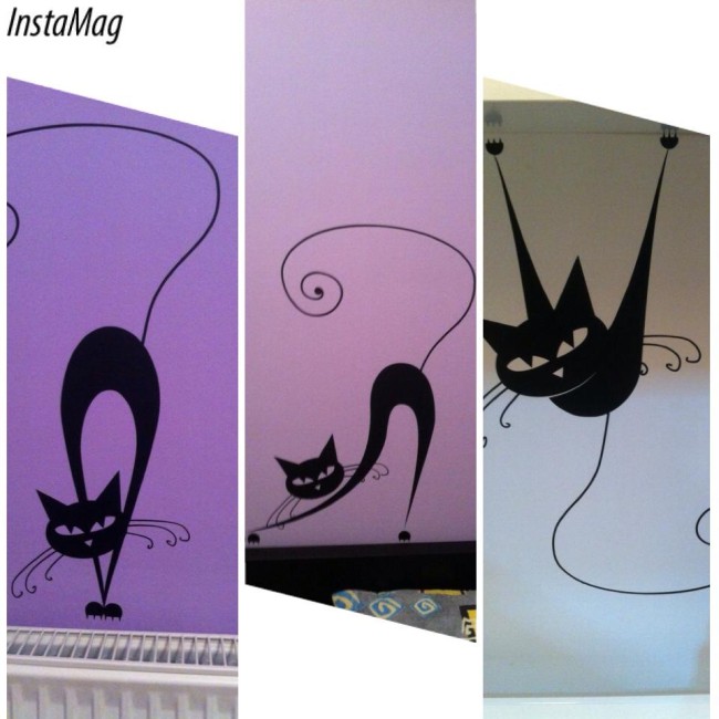 Cicák a házban (csomag) - Falmatrica / Faltetoválás