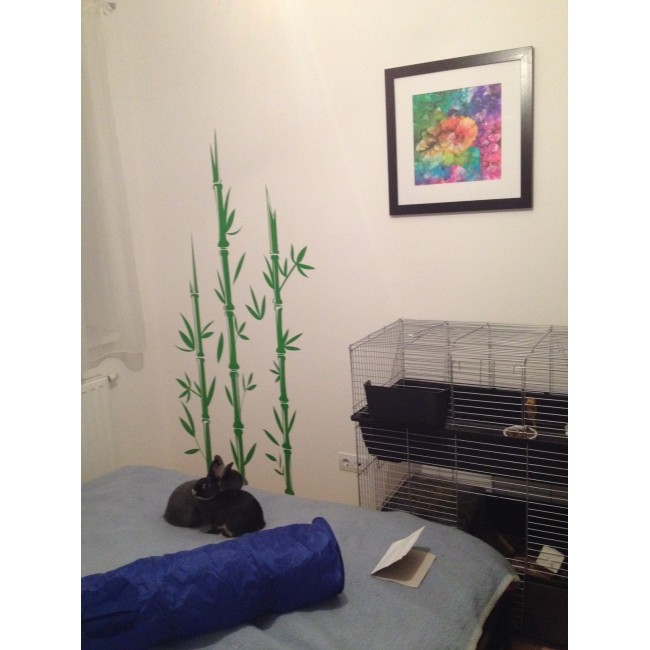 Bambusz - Falmatrica / Faltetoválás -