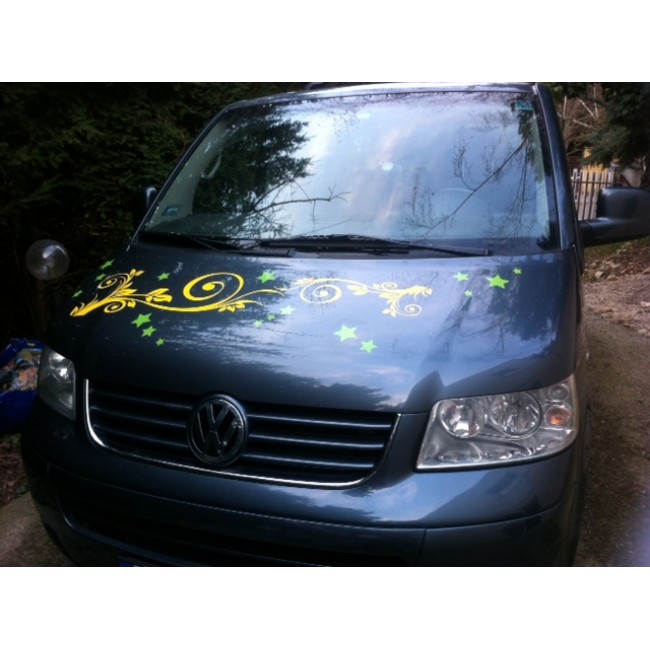 Autós matrica - Levelek