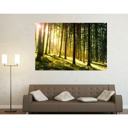 Napnyugta az erdőben - Nyomtatott poszter