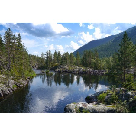  Gyönyörű erdei patak - Nyomtatott poszter