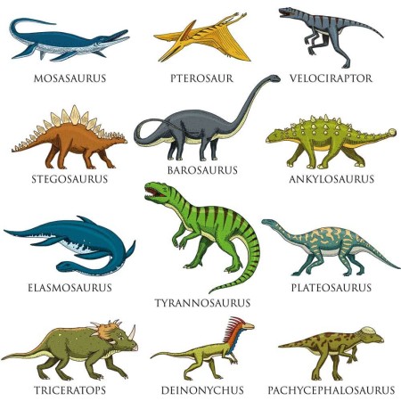 Dinoszaurusz fajok - Nyomtatott matrica