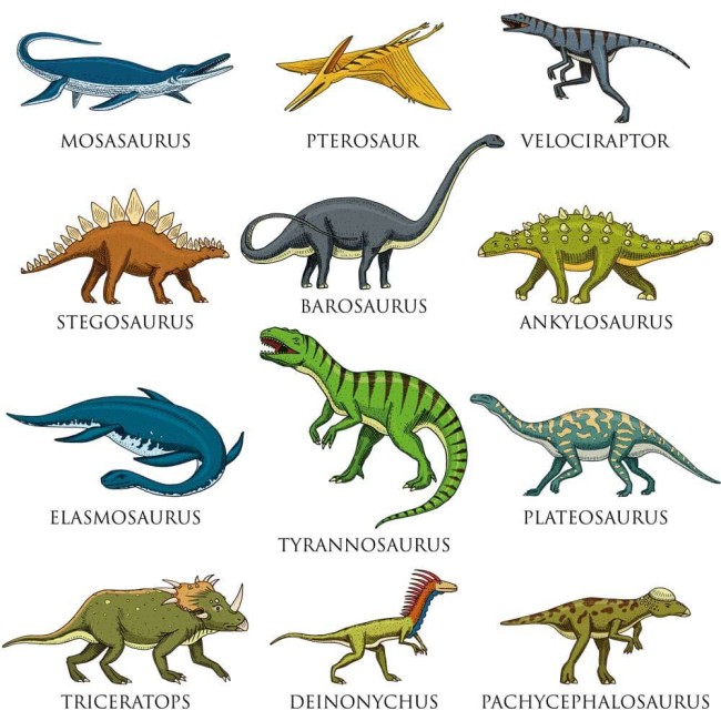 Dinoszaurusz fajok - Nyomtatott matrica