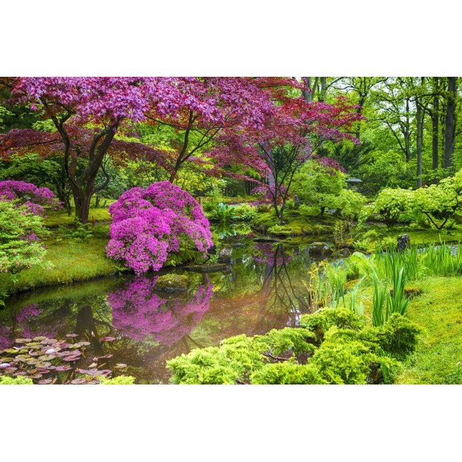 Fotótapéta - Színes kert